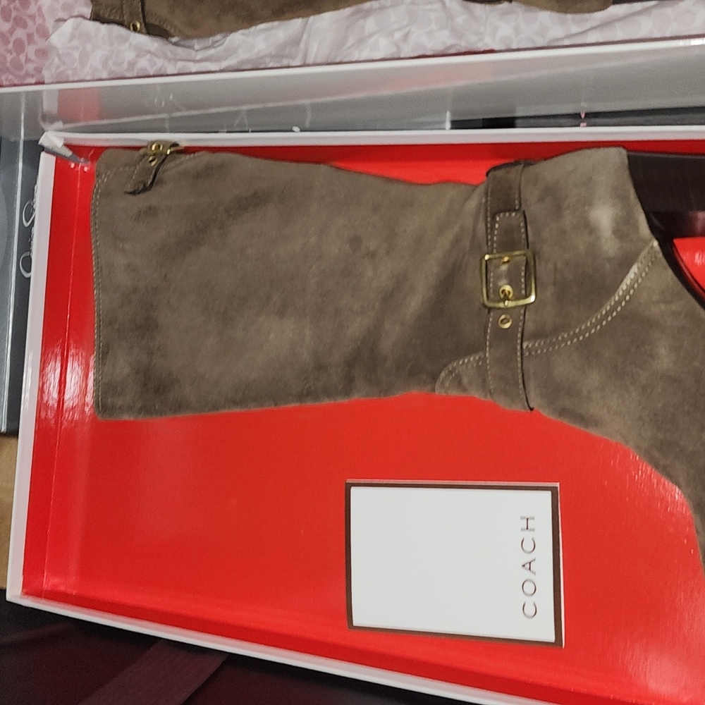 NIB Coach A7284 Suede Robynn Heeled Boots in Flint Goldtone Hardware Sz 9 $528 - Picture 2 of 9